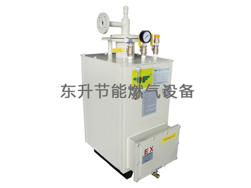 污视频免费看APP下载(LPG)防爆型污视频网址在线观看器(DS30—50kg／h)