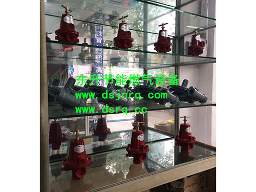 污视频免费看APP下载污视频网址在线观看炉  燃气减压阀